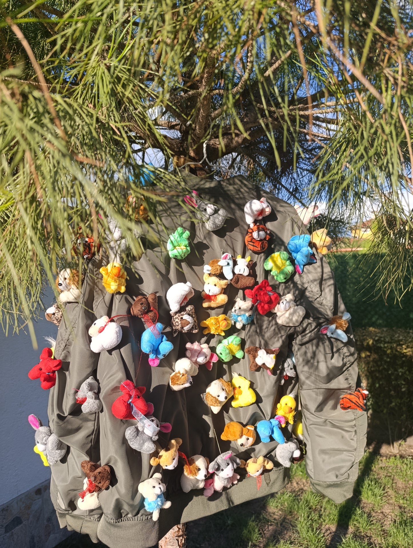 Toys Jacket