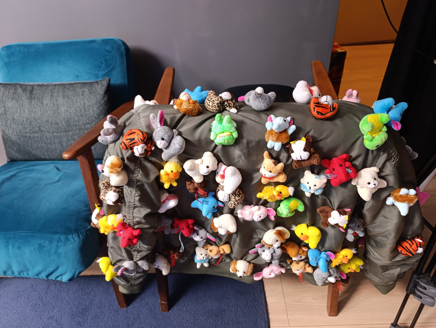 Toys Jacket
